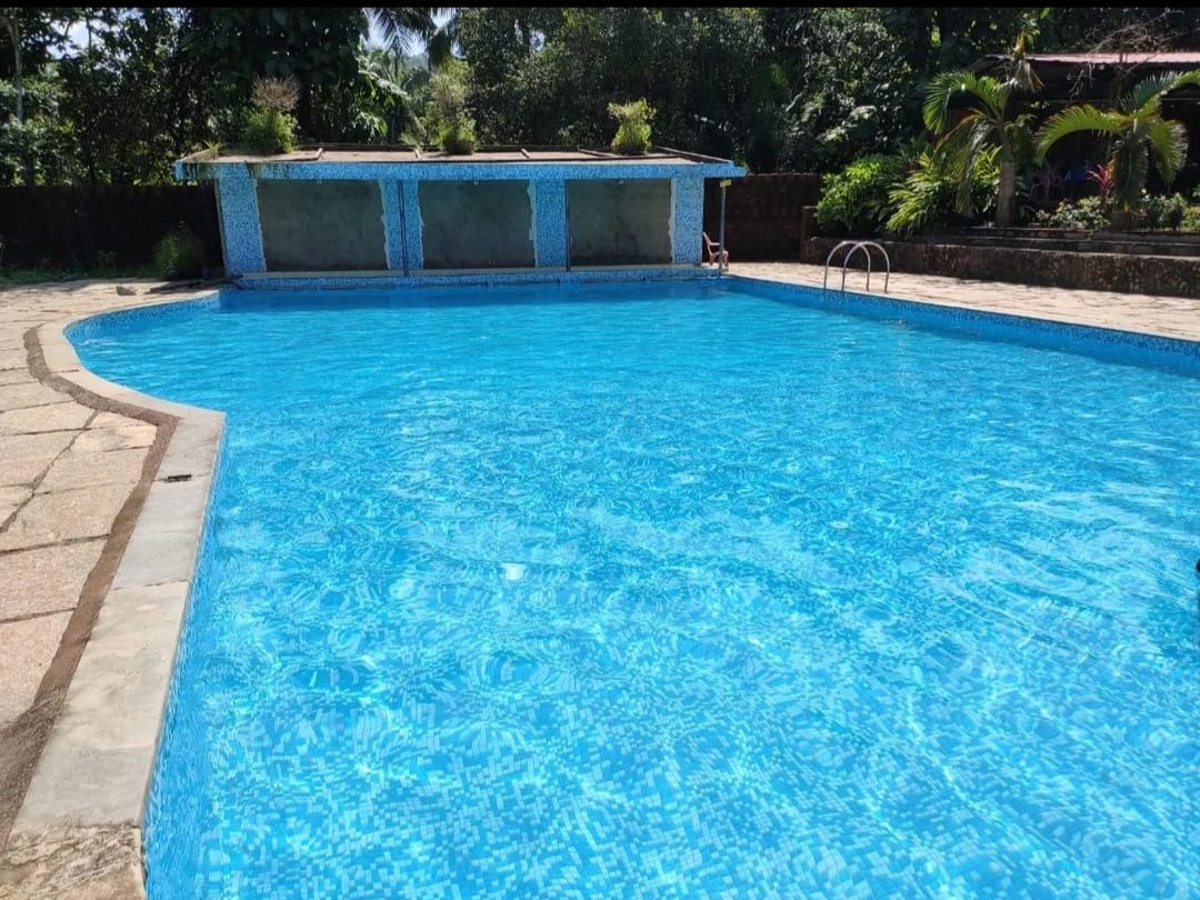 Swimming Pool (General)