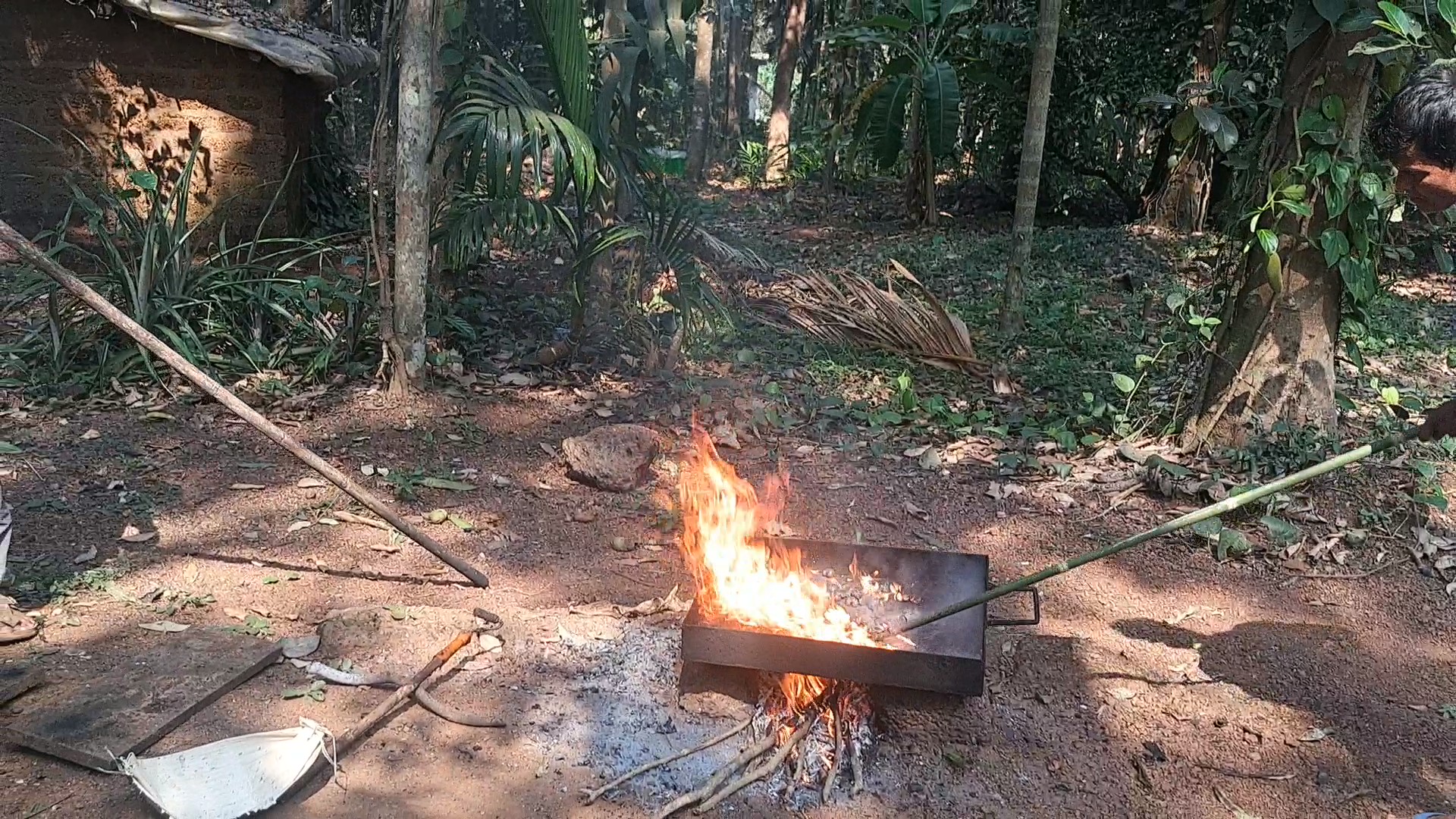 Cashew Trail