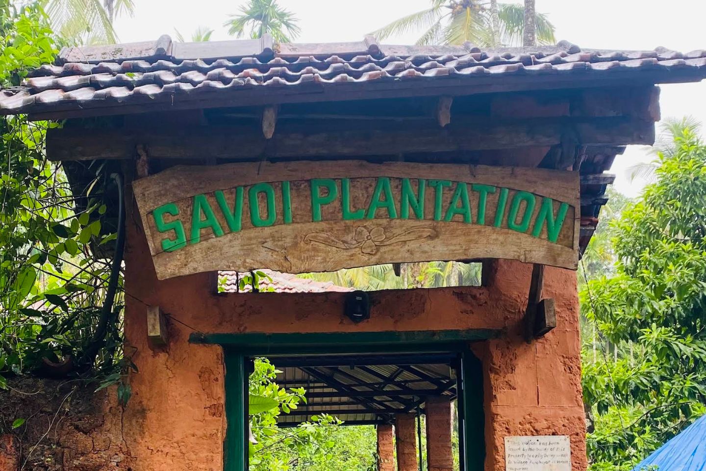 Savoi Plantation Entry