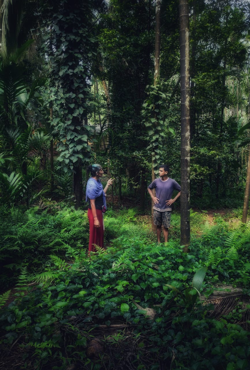 Spice Plantation Tour & Swimmng Pool