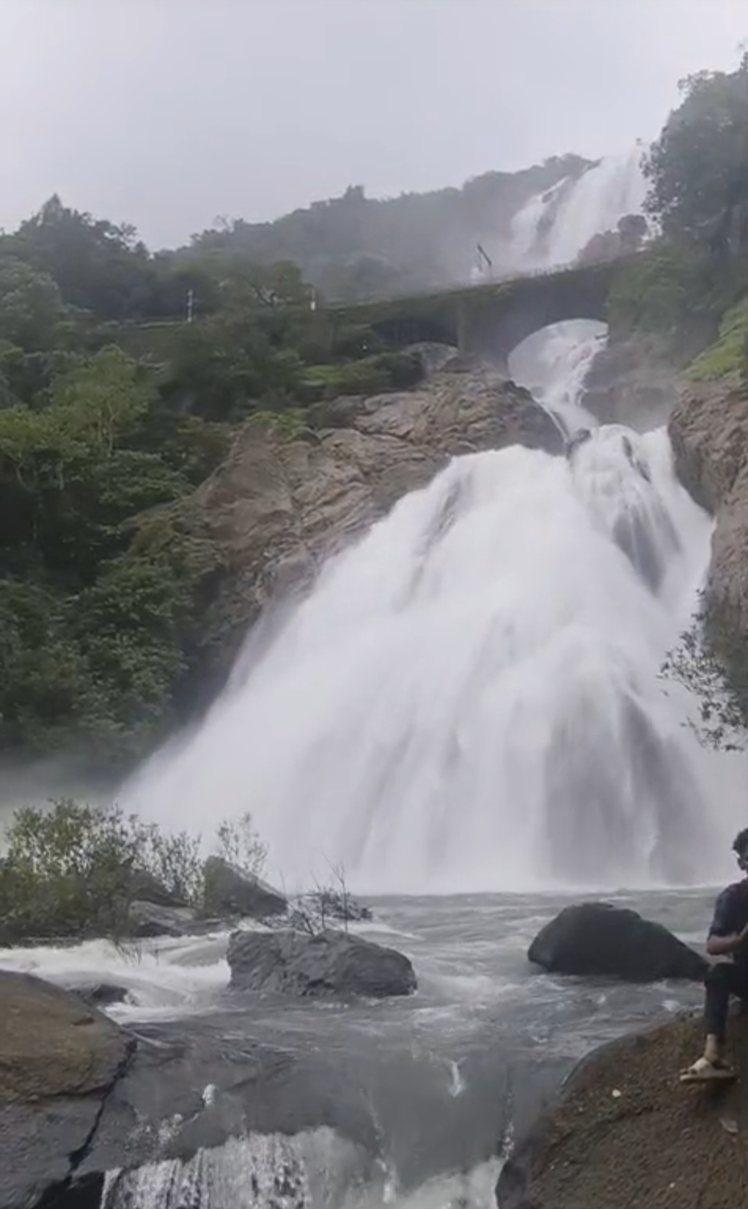 Dudhsagar Waterfalls Trekking