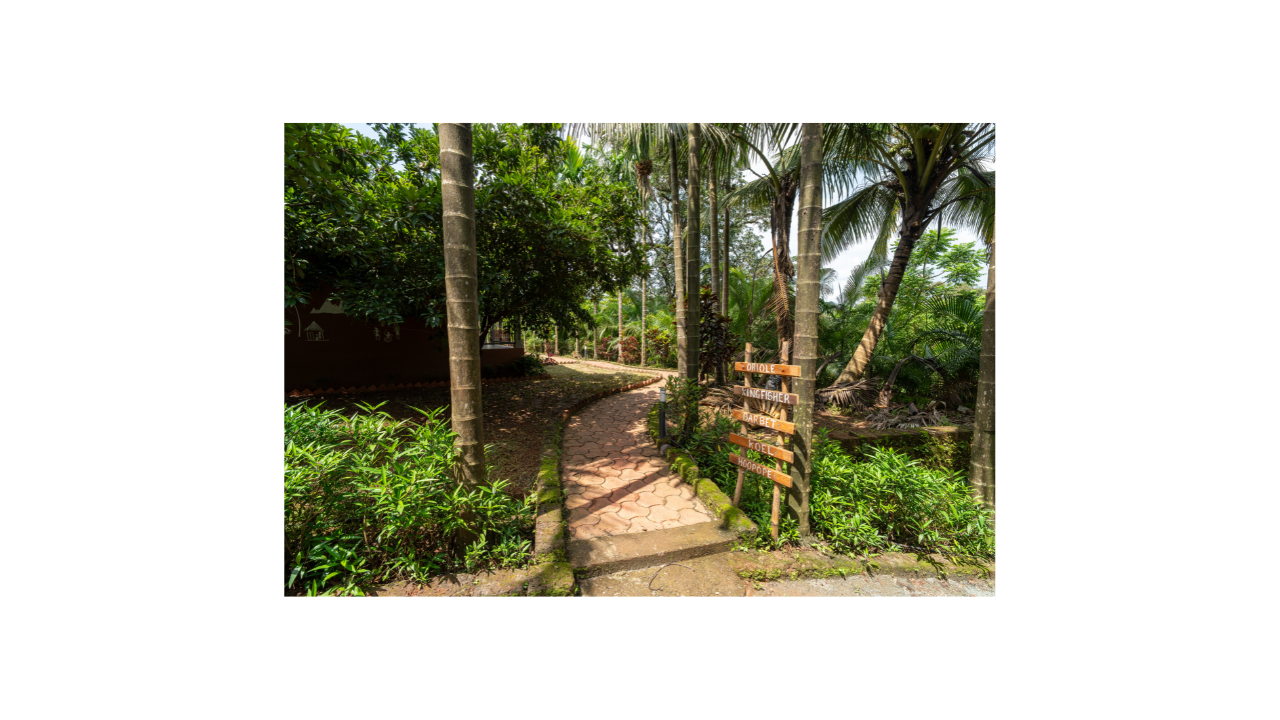 Day Visit Package