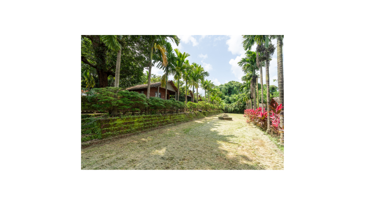 Day Visit Package